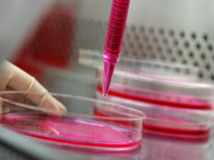 Tech-Tips-for-Primary-Cell-Culture-Common-Errors