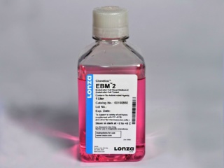 Endothelial Basal Medium -2 (EBM-2), 1L