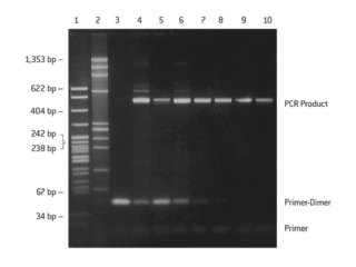 NuSieve™ 3:1 AGAROSE 125G