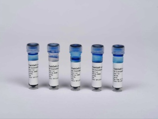 DNA LOADING BUFFER- (6x) 5 X 1ML