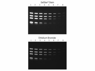 GelStar GEL STAIN 10,000 0X (2 X 250uL)