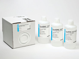 ACCUGENE 1X PBS-1L