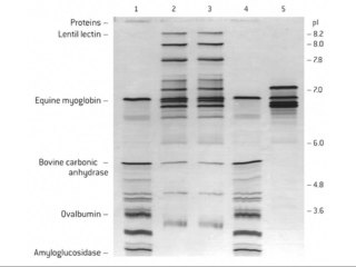 IsoGel™ AGAROSE 25G