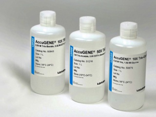 ACCUGENE 10X PBS-1L