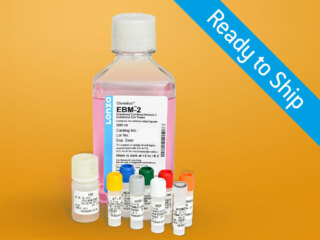 EGM™-2 MV SingleQuot™ Suppl&Growth Factors