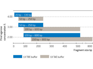 MetaPhor™ AGAROSE 125G