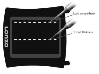 FlashGel Recovery Buffer