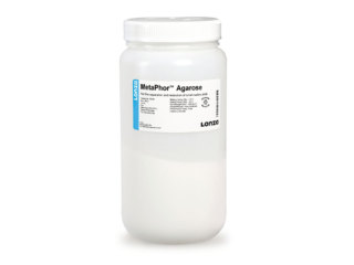 MetaPhor™ AGAROSE 25G