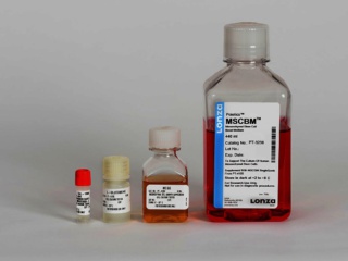 MSCBM hMSC Basal Medium, 440 ml