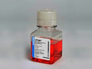 OCP Osteoclast Precur. Basal, 100 ml