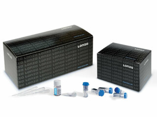 Basic Epithelial Cells Nucleofector® Kit