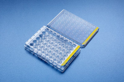 Tissue culture test plate, 6 wells