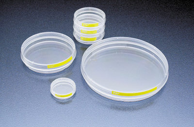 Tissue culture dish 60 mm