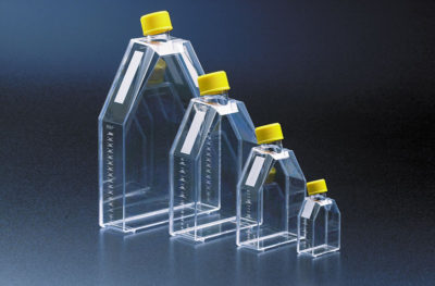 Tissue culture flask 25 cm² / vent screw cap