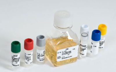 EGM™-2 MV Microvascular Endothelial SingleQuotsTM Kit