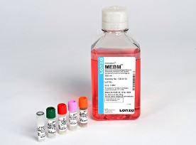 MEGM™ BULLETKIT™ (CC-3151 & CC-4136) Lonza Bioscience