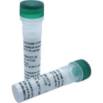 Lyophilized exosomes from CHO cell line (2x30 µg vial)